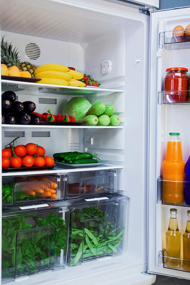Domestic Refrigeration